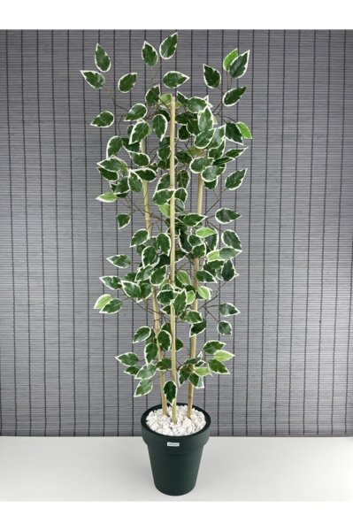 Bahçem Yapay Yoğun Yapraklı Benjamin Ağacı 110cm ve Yapay Bambu Ağacı 110cm Fulya Saksılı 2'li