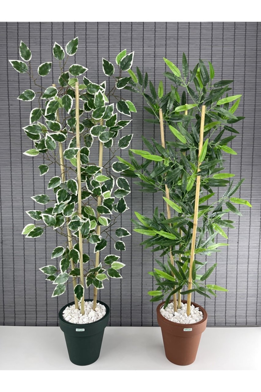 Bahçem Yapay Yoğun Yapraklı Benjamin Ağacı 110cm ve Yapay Bambu Ağacı 110cm Fulya Saksılı 2'li