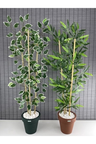 Bahçem Yapay Yoğun Yapraklı Benjamin Ağacı 110cm ve Yapay Bambu Ağacı 110cm Fulya Saksılı 2'li