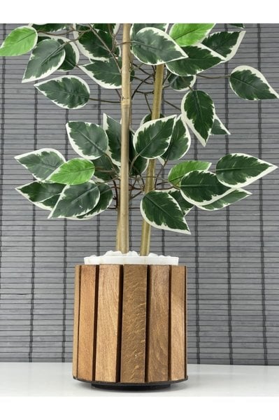 Bahçem Yapay Yoğun Yapraklı Dekoratif Benjamin Ağacı Ahşap Saksılı 3 Gövde 80cm
