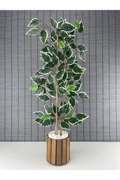 Bahçem Yapay Yoğun Yapraklı Dekoratif Benjamin Ağacı Ahşap Saksılı 3 Gövde 80cm