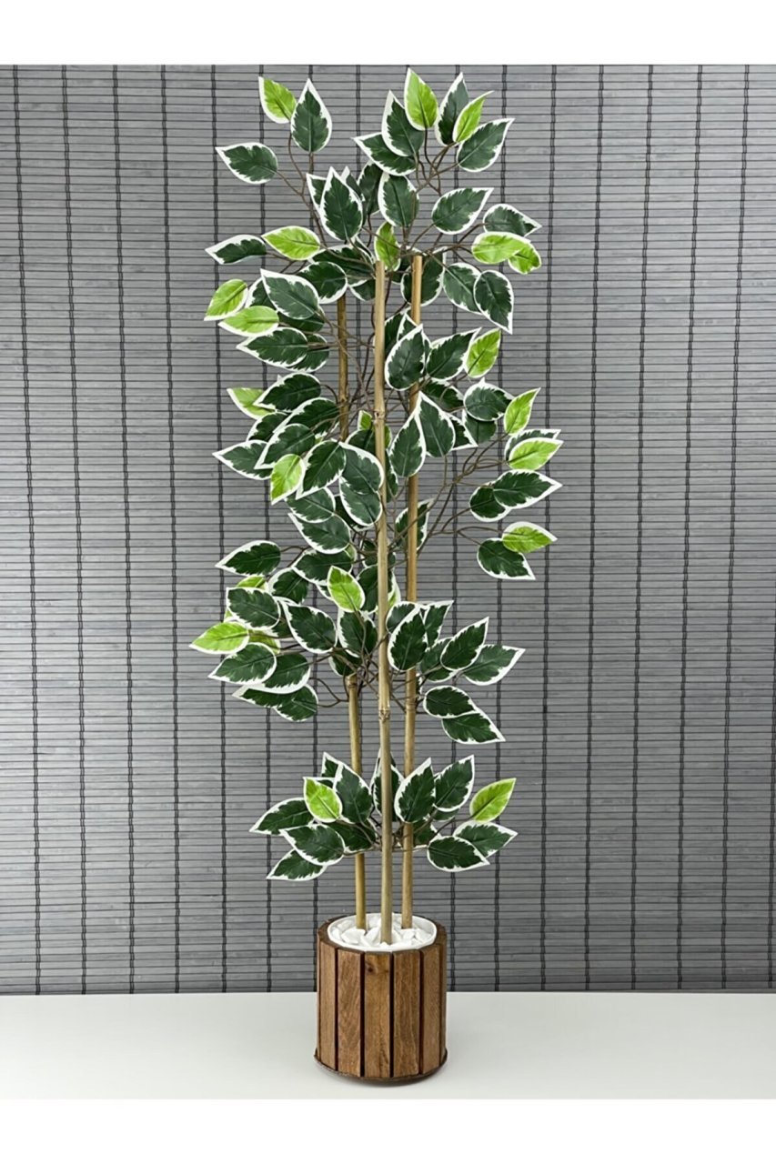 Bahçem Yapay Yoğun Yapraklı Dekoratif Benjamin Ağacı Ahşap Saksılı 100cm