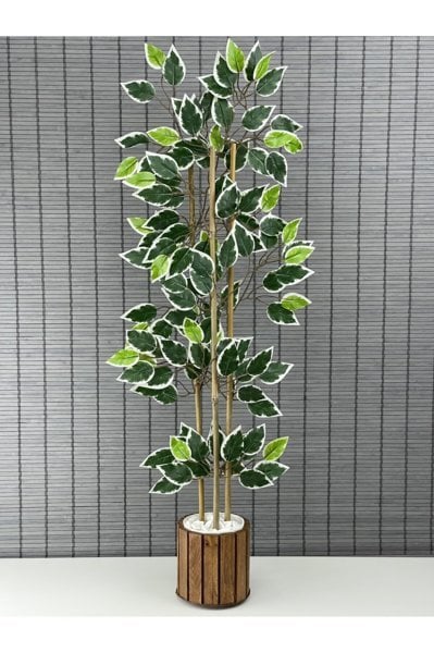 Bahçem Yapay Yoğun Yapraklı Dekoratif Benjamin Ağacı Ahşap Saksılı 100cm
