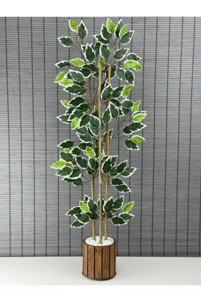 Bahçem Yapay Bambu Ağacı Ahşap Saksılı 100cm-yapay Benjamin Ağacı Ahşap Saksılı 100cm Yoğun Yapraklı 2 Adet