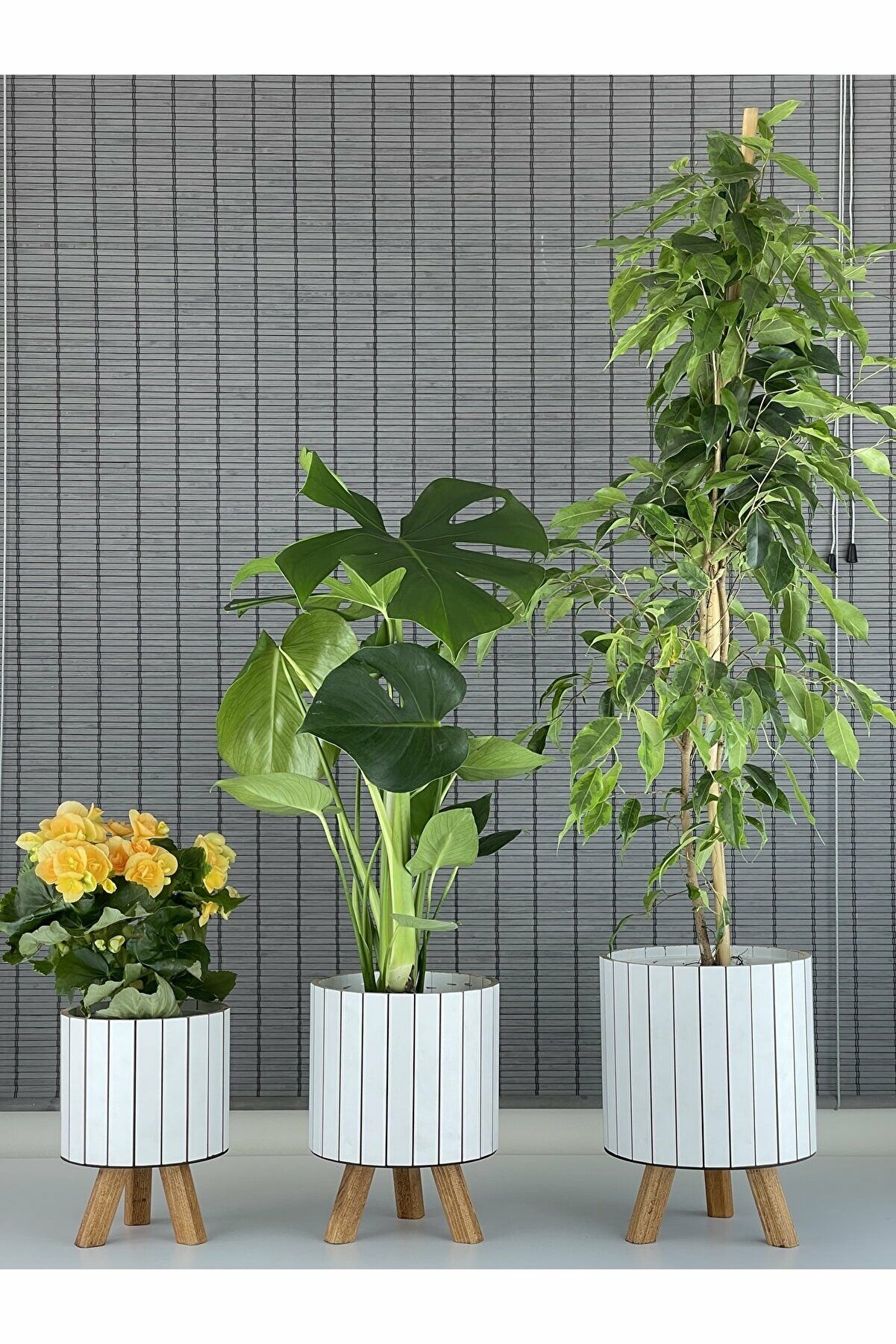 Bahçem Ayaklı Ahşap 3'lü Dekoratif Yuvarlak Saksı Seti Beyaz İç Saksılı Uslu Ticaret Tasarımı