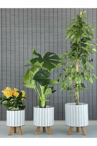 Bahçem Ayaklı Ahşap 3'lü Dekoratif Yuvarlak Saksı Seti Beyaz İç Saksılı Uslu Ticaret Tasarımı