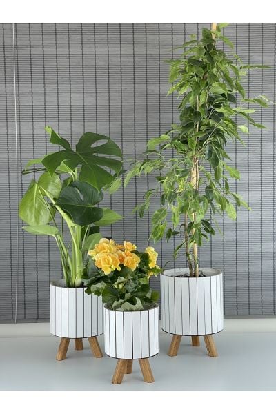 Bahçem Ayaklı Ahşap 3'lü Dekoratif Yuvarlak Saksı Seti Beyaz İç Saksılı Uslu Ticaret Tasarımı