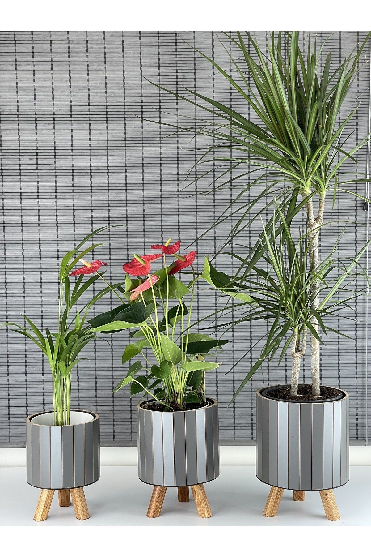 Bahçem Ayaklı Ahşap 3'lü Dekoratif Yuvarlak Saksı Seti Antrasit İç Saksılı Uslu Ticaret Tasarımı