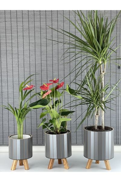 Bahçem Ayaklı Ahşap 3'lü Dekoratif Yuvarlak Saksı Seti Antrasit İç Saksılı Uslu Ticaret Tasarımı