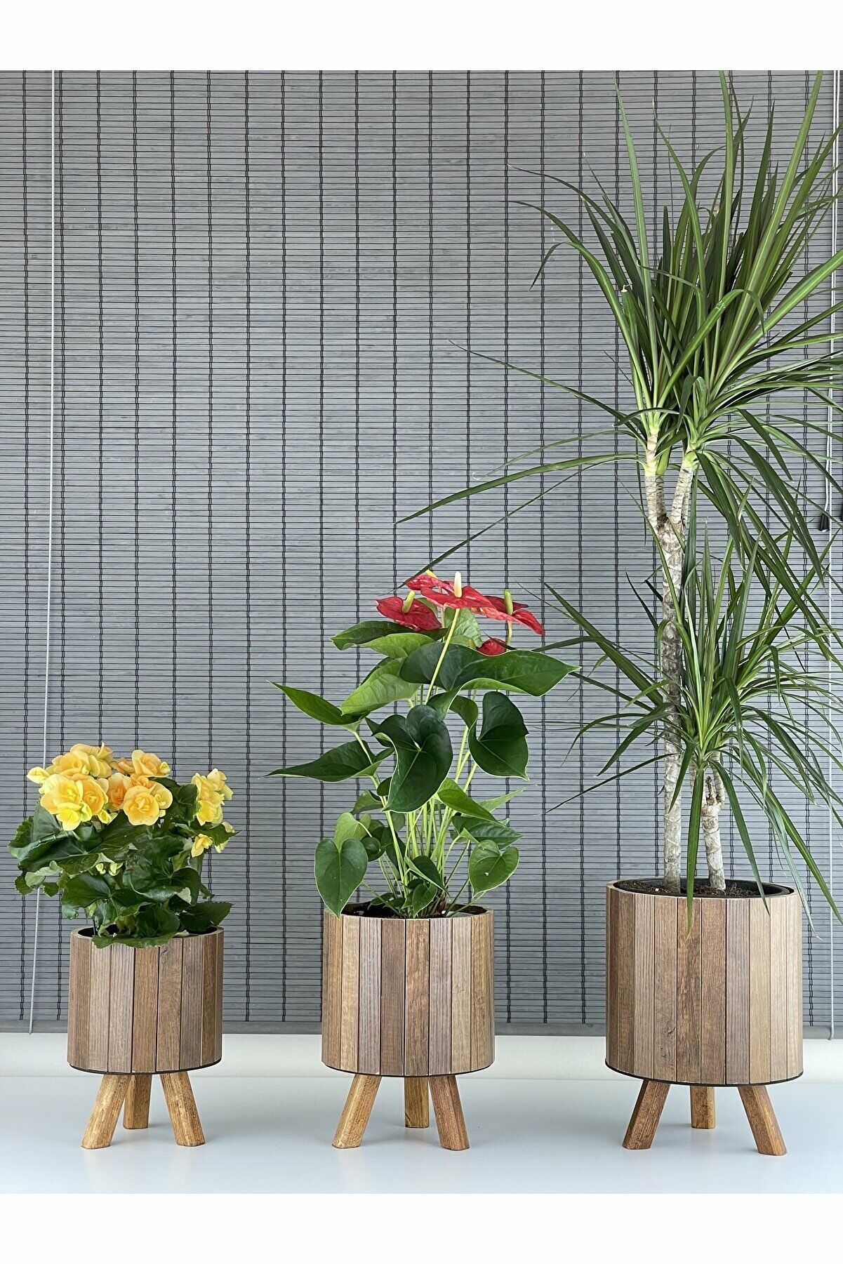 Bahçem Ayaklı Ahşap 3'lü Dekoratif Yuvarlak Saksı Seti Çam Rengi İç Saksılı Uslu Ticaret Tasarımı