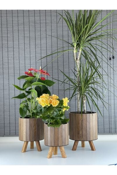 Bahçem Ayaklı Ahşap 3'lü Dekoratif Yuvarlak Saksı Seti Çam Rengi İç Saksılı Uslu Ticaret Tasarımı (Çiçeksiz))