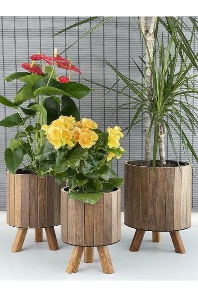 Bahçem Ayaklı Ahşap 3'lü Dekoratif Yuvarlak Saksı Seti Çam Rengi İç Saksılı Uslu Ticaret Tasarımı (Çiçeksiz))