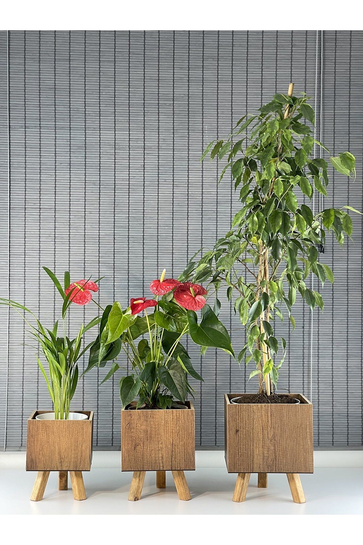 Bahçem Ayaklı Ahşap 3'lü Dekoratif Kare Saksı Seti Çam Rengi İç Saksılı Uslu Ticaret