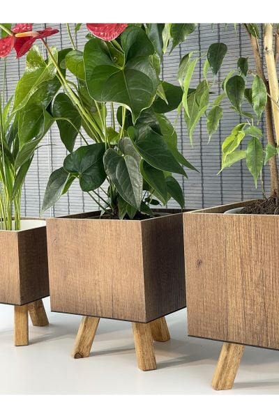 Bahçem Ayaklı Ahşap 3'lü Dekoratif Kare Saksı Seti Çam Rengi İç Saksılı Uslu Ticaret
