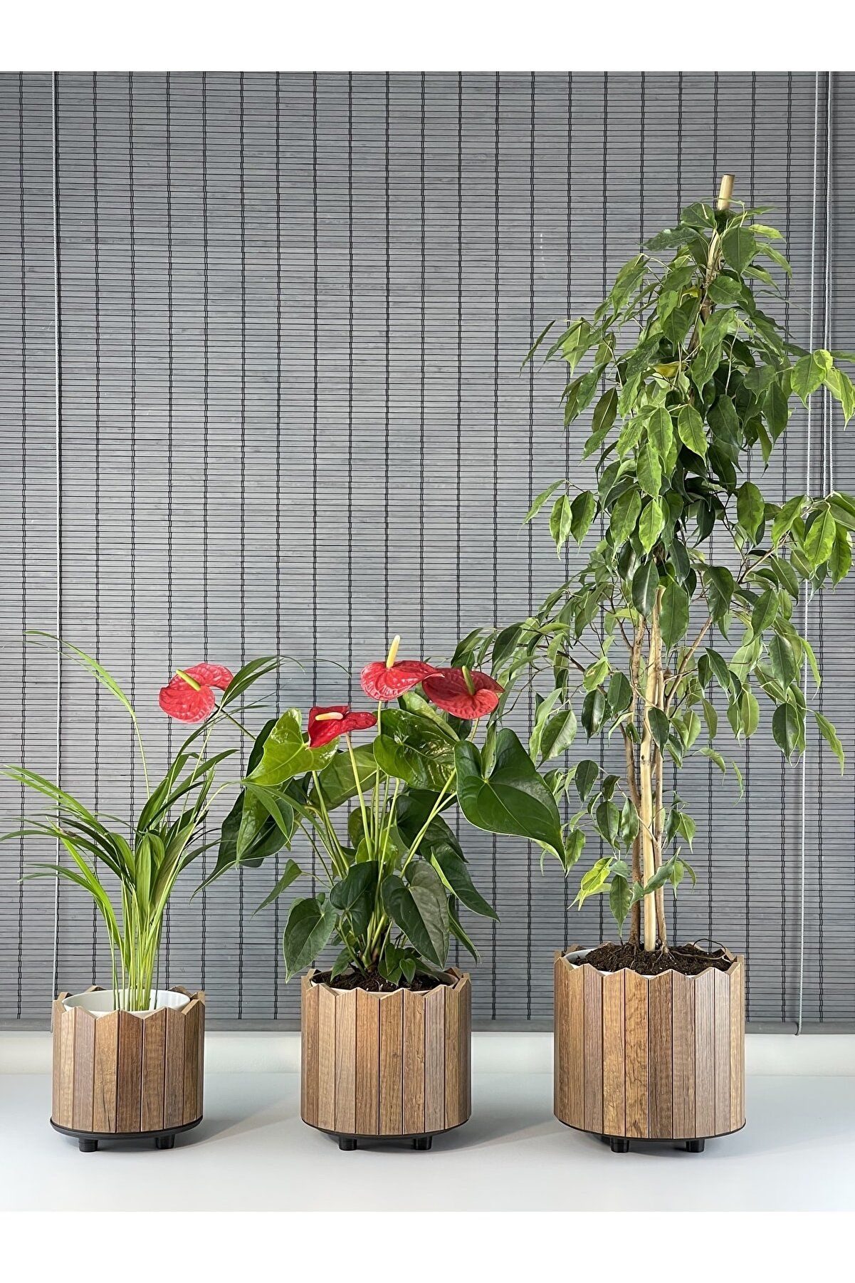 Bahçem Ahşap 3'lü Dekoratif Taç Model Yuvarlak Saksı Seti İç Saksılı Uslu Ticaret