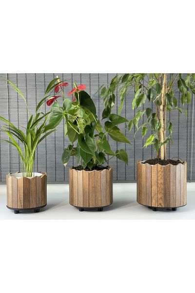 Bahçem Ahşap 3'lü Dekoratif Taç Model Yuvarlak Saksı Seti İç Saksılı Uslu Ticaret