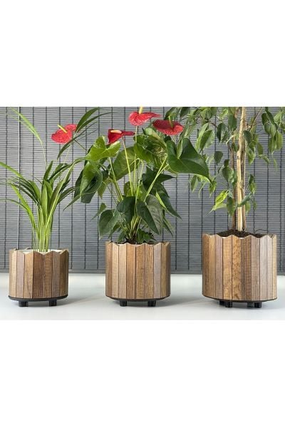Bahçem Ahşap 3'lü Dekoratif Taç Model Yuvarlak Saksı Seti İç Saksılı Uslu Ticaret