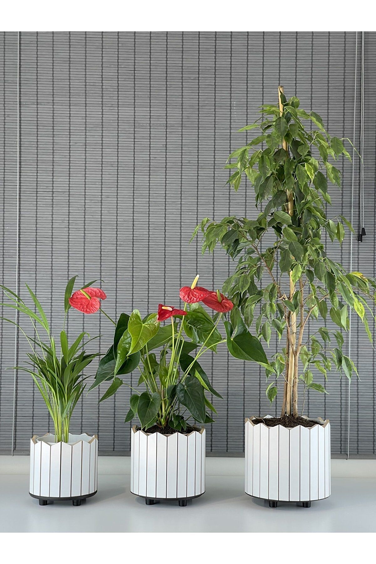 Bahçem Ahşap 3'lü Dekoratif Taç Model Yuvarlak Saksı Seti İç Saksılı Uslu Ticaret