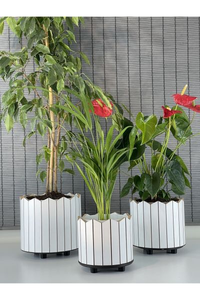 Bahçem Ahşap 3'lü Dekoratif Taç Model Yuvarlak Saksı Seti İç Saksılı Uslu Ticaret