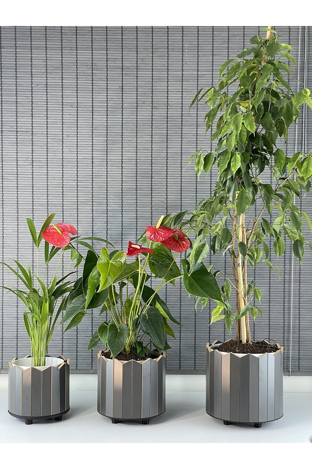 Bahçem Ahşap 3'lü Dekoratif Taç Model Yuvarlak Saksı Seti İç Saksılı Uslu Ticaret