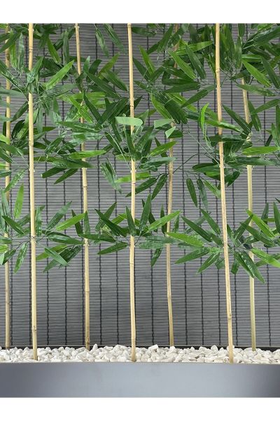 Ahşap Ayaklı 1mt Saksılı 10 Bambu Gövdeli 180cm Dikdörtgen YapayYapraklı Dekoratif Bambu Seperatör