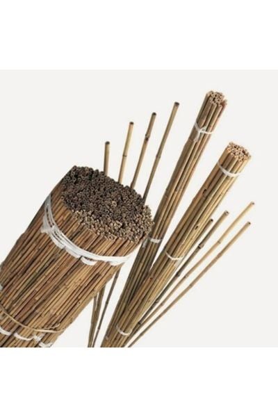 Bambu 50'li Bitki Destek Çubuğu 120cm