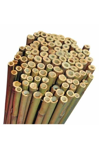 Bambu 50'li Bitki Destek Çubuğu 120cm