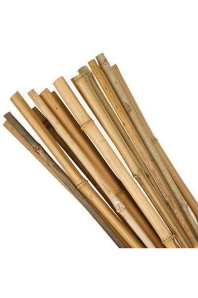 Bambu 50'li Bitki Destek Çubuğu 120cm