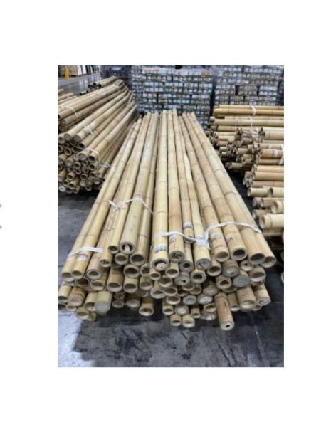 Kalın Bambu Gövdeleri 10-12 cm 3 Mt Doğal Bambu Dekorasyon 1 Adet