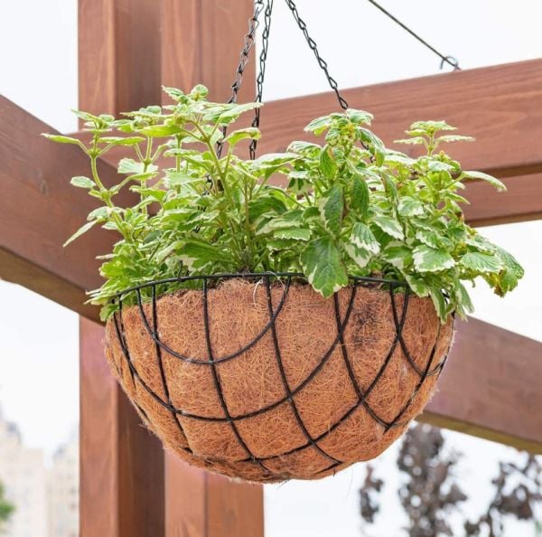 Coco Askılı Çiçeklik Doğal Hindistan Cevizi Lifi 1 Adet Balkon Bahçe Saksısı 42X42X60cm Büyük Boy