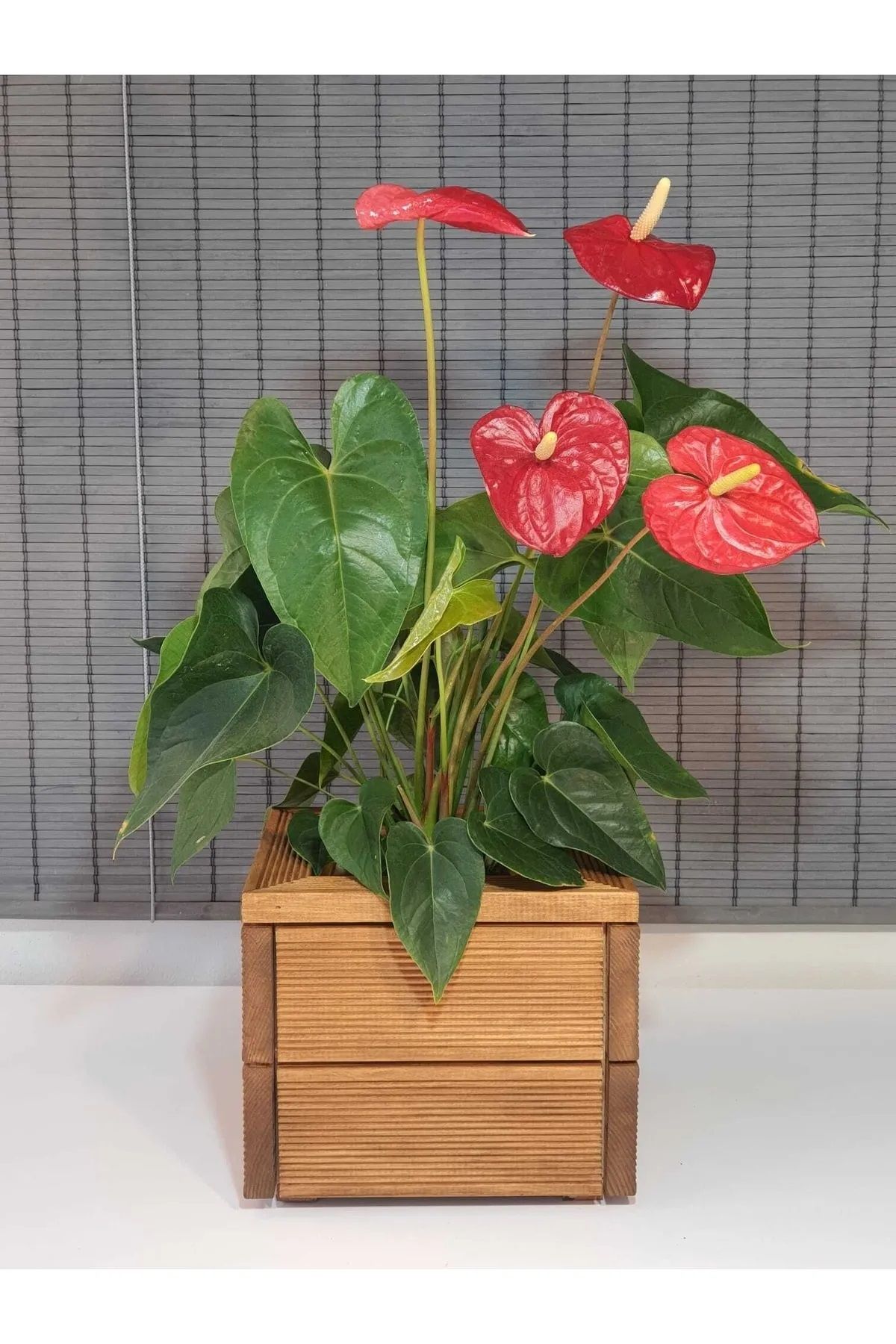 Dekoratif Kare  Ahşap Saksı 25x21cm 1.Sınıf İthal Çam Teak İç Saksılı