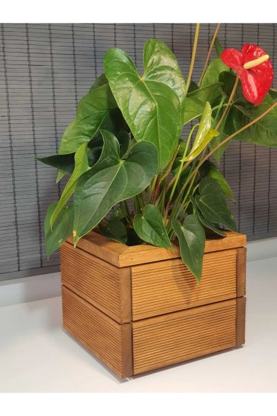 Dekoratif Kare  Ahşap Saksı 25x21cm 1.Sınıf İthal Çam Teak İç Saksılı
