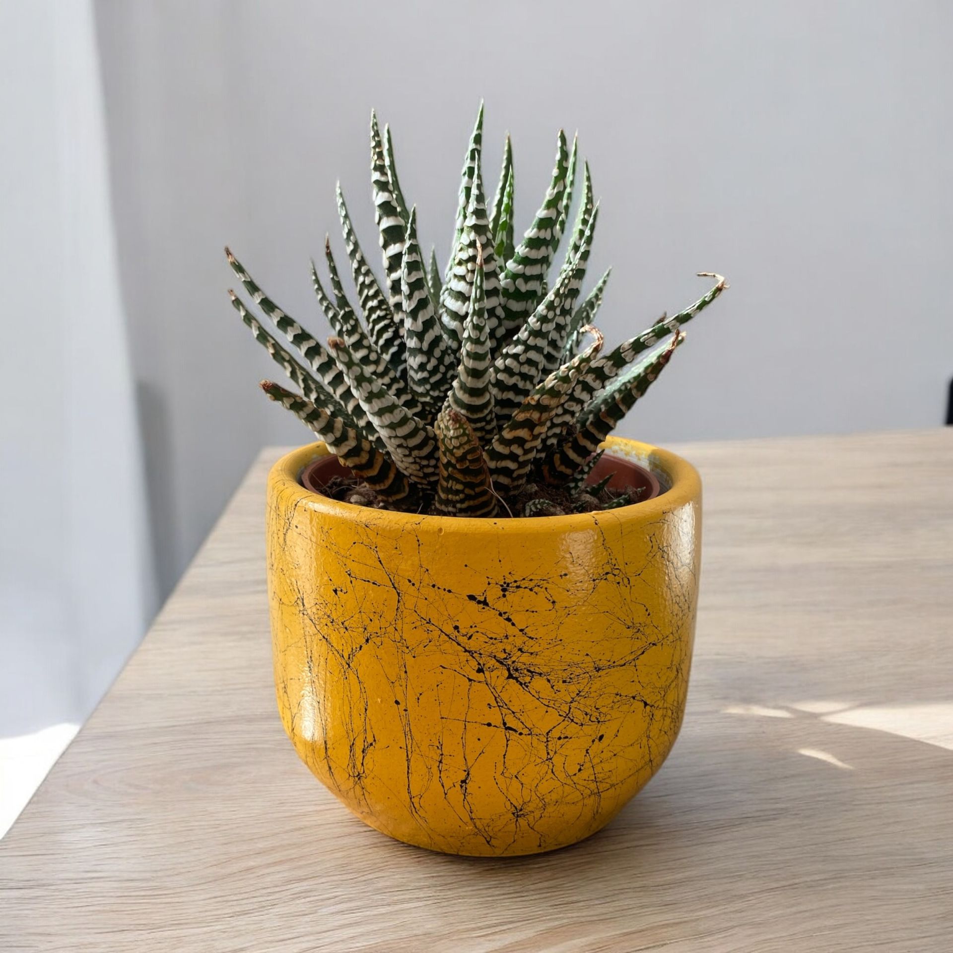 Dekoratif Beton Saksılık - Mermer Efektli - 8 cm Üretim Saksı için Saksı Kabı SARI