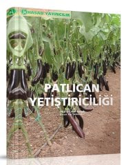 Patlıcan Yetiştiriciliği Kitabı