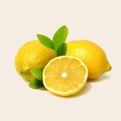 Tüplü Erkenci Enterdonat Limon Fidanı