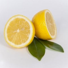 Tüplü Kendine Verimli Aydın Limon Fidanı