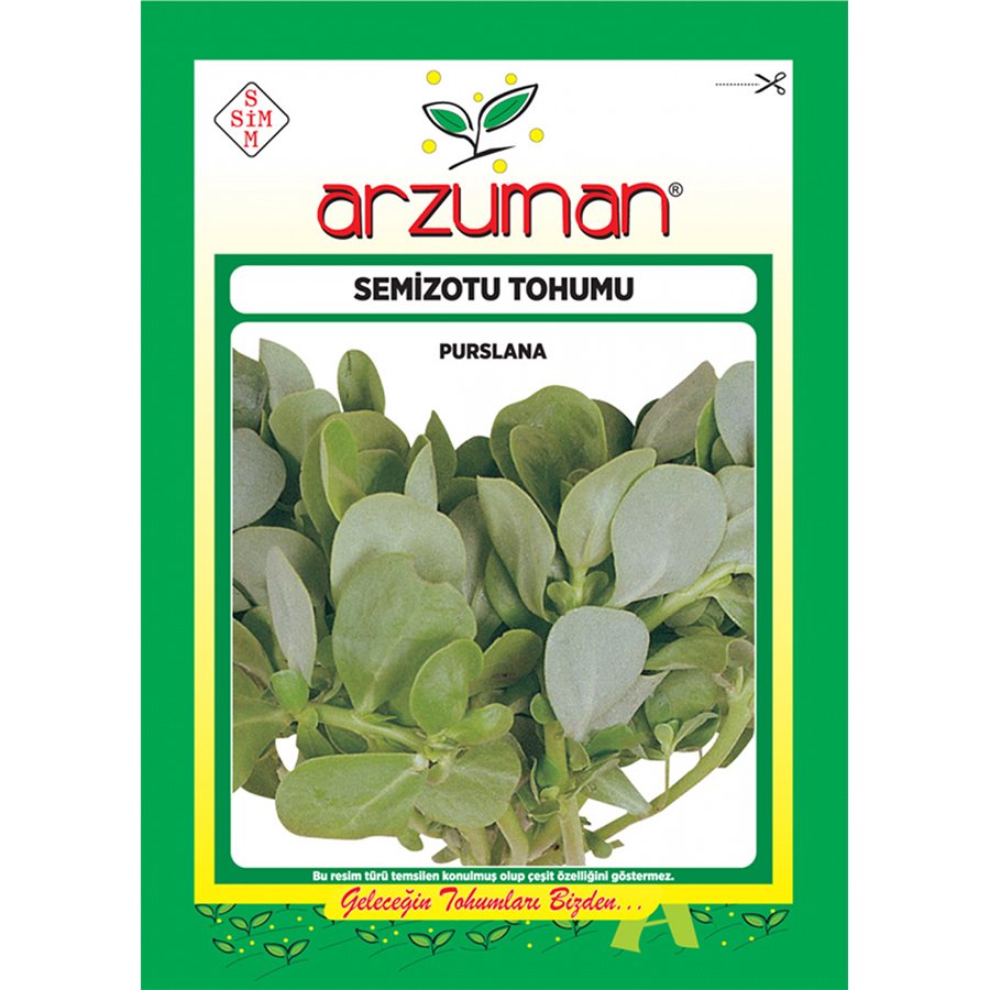 Geniş Yapraklı Semizotu Tohumu-10 Gram