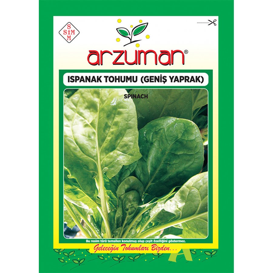 Geniş Yapraklı Ispanak Tohumu-10 Gram
