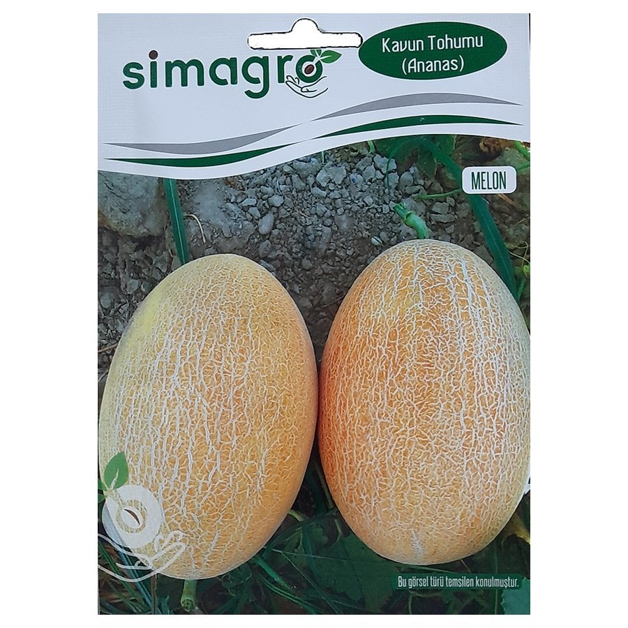 Aroması Yüksek Ananas Kavun Tohumu-10 Gram