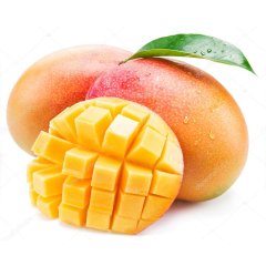 Saksıda Yetişebilen Mango Fidanı