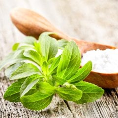 Mucize Bitki Stevia Şeker Otu Tohumu-100 Adet