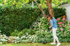 Bosch EasyGrassCut 23 Kenar Kesme Makinesi