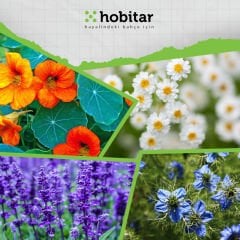 Hobitar Gurme Çiçekler Çiçek Tohumu Paketi - 4 Çeşit Çiçek Tohumu