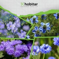 Hobitar Büyülü Maviler Çiçek Tohumu Paketi - 4 Çeşit Çiçek Tohumu