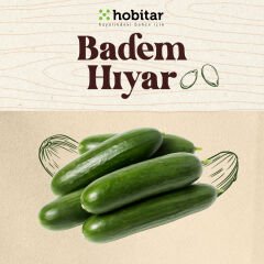 Hobitar Badem Hıyar Salatalık Tohumu