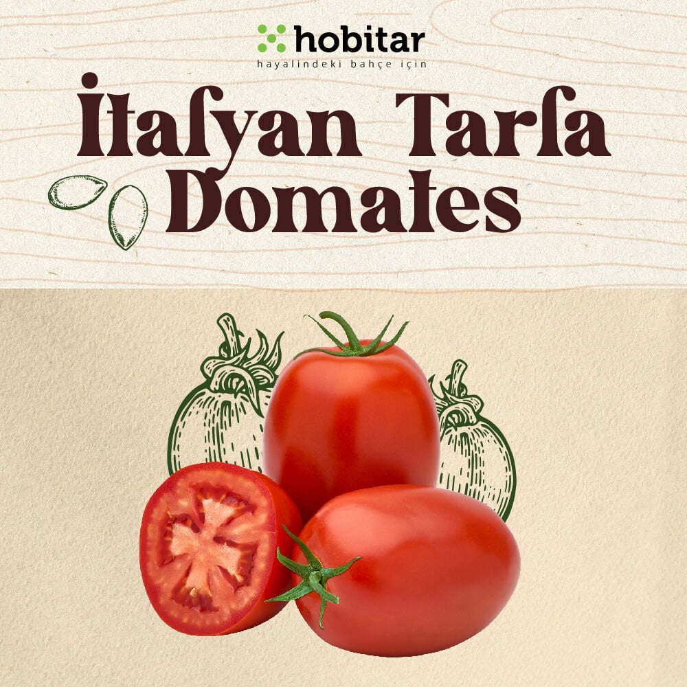 Hobitar İtalyan Tarla Domates Tohumu