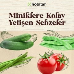 Hobitar Miniklere Kolay Yetişen Sebze Tohumu Paketi - 4 Çeşit Sebze Tohumu