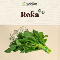 Hobitar Kolay Yetişen Yaze Yeşillikler Sebze Tohumu Paketi - 5 Çeşit Aromatik Tohumu