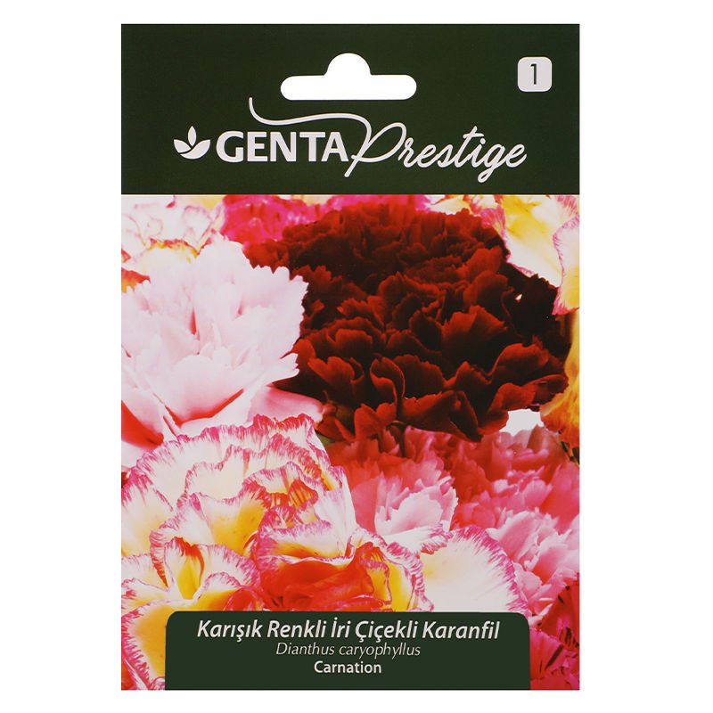 Çiçek Tohumu Karışık Renkli İri Çiçekli Karanfil Genta Prestige