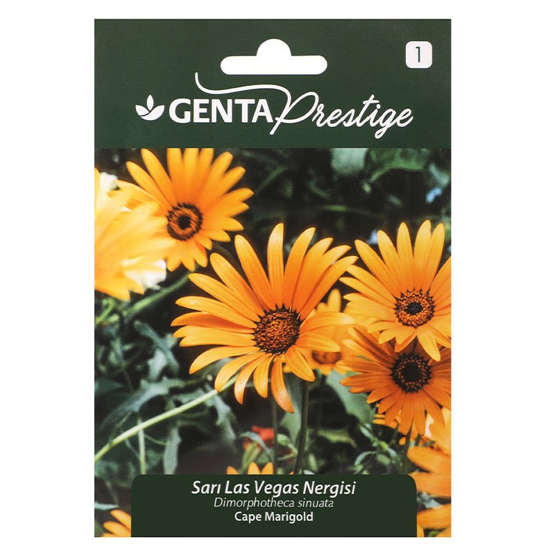 Çiçek Tohumu Sarı Las Vegas  Genta Prestige